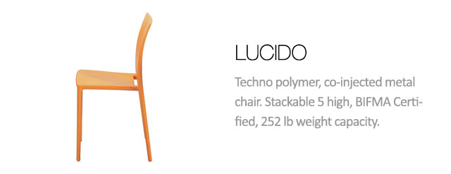 Magnuson Group - Lucido