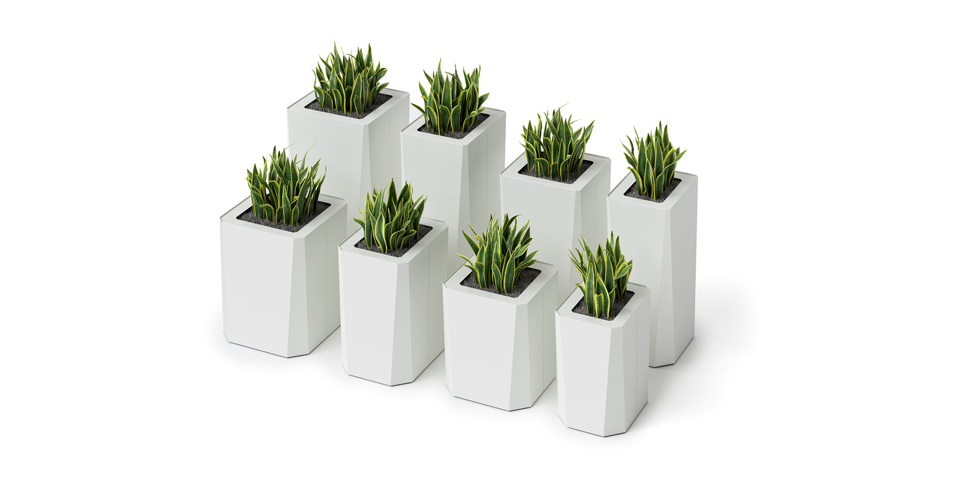 Kasta Planters