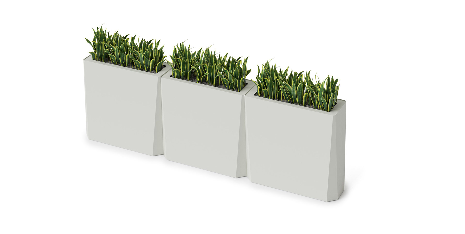Kasta Planters