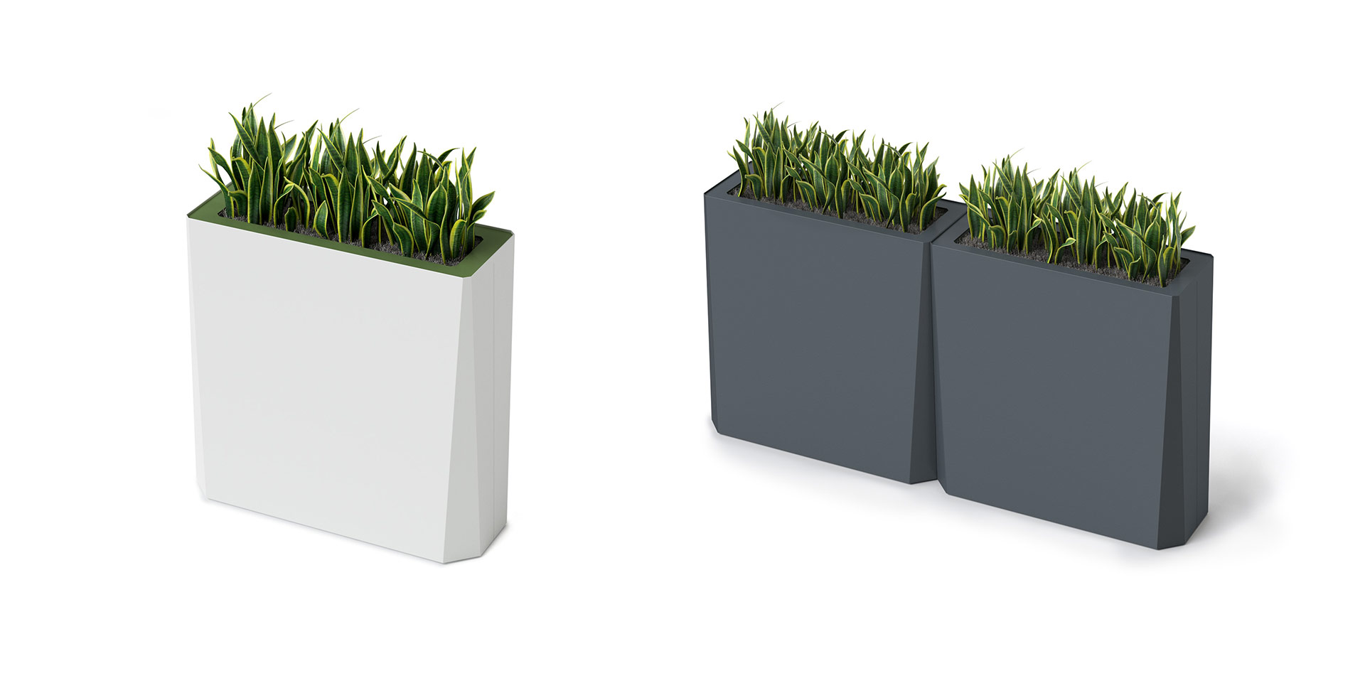 Kasta Planters