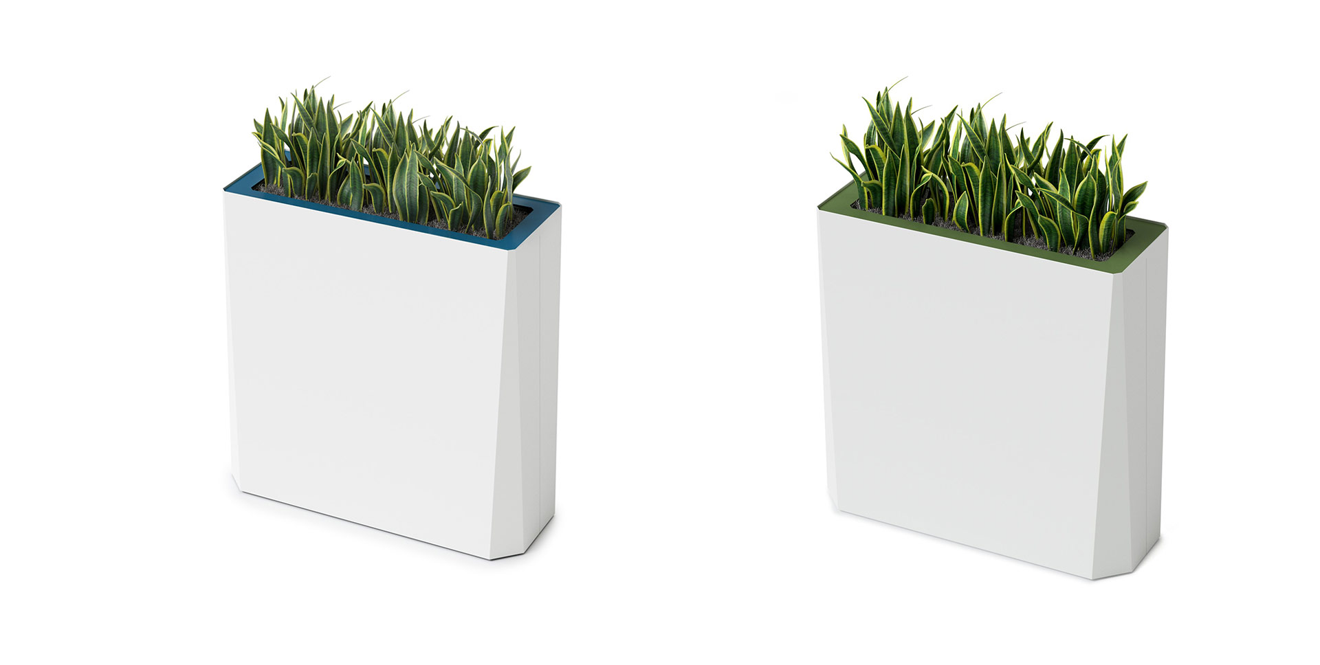 Kasta Planters