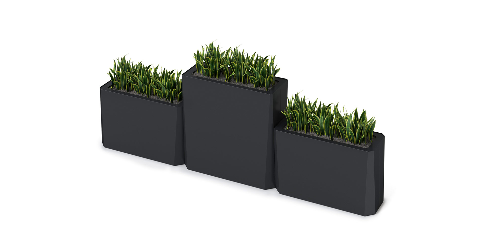 Kasta Planters