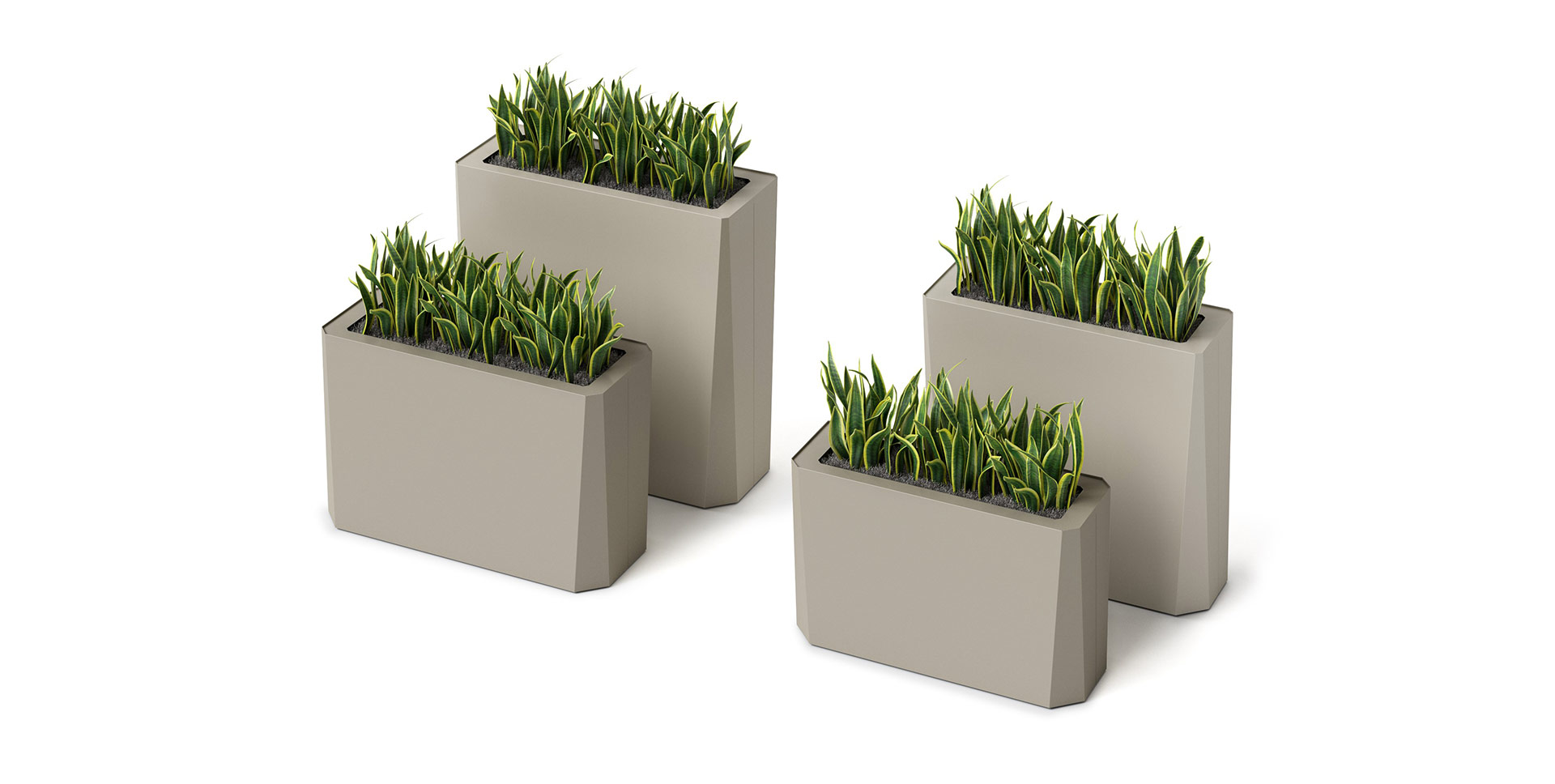 Kasta Planters