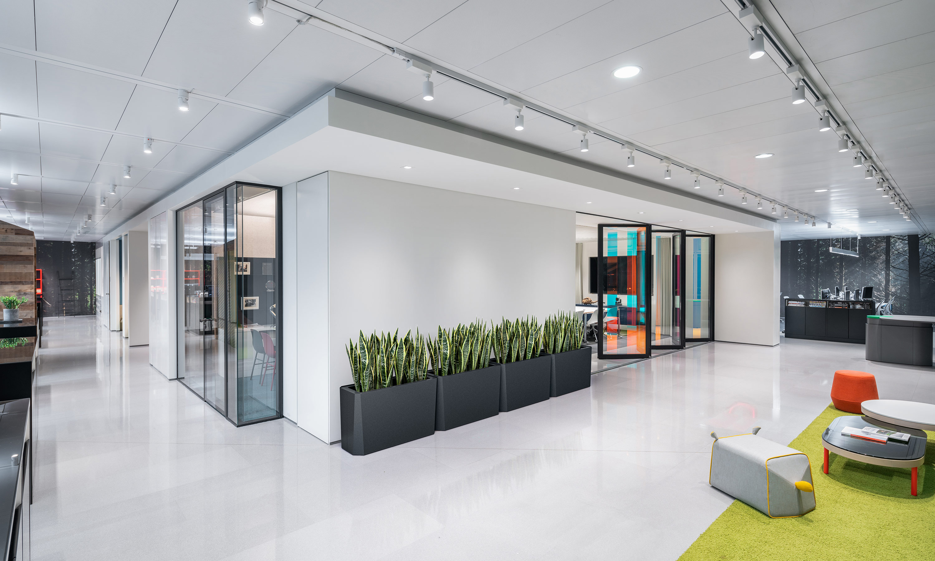 Kasta Planters