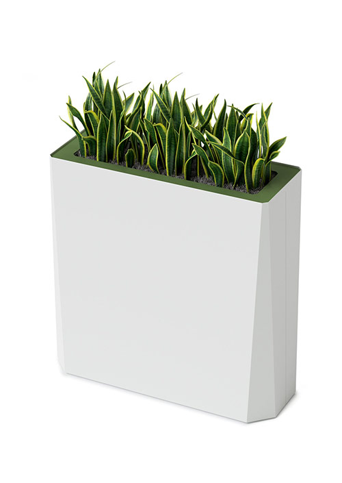 Kasta Planters