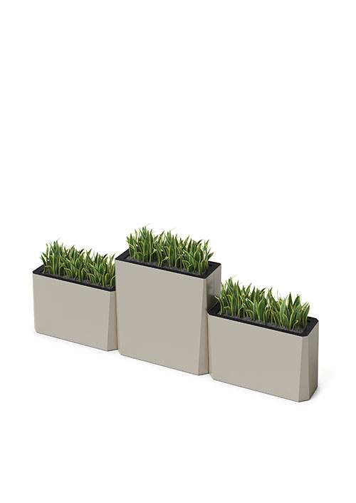 Kasta Planters