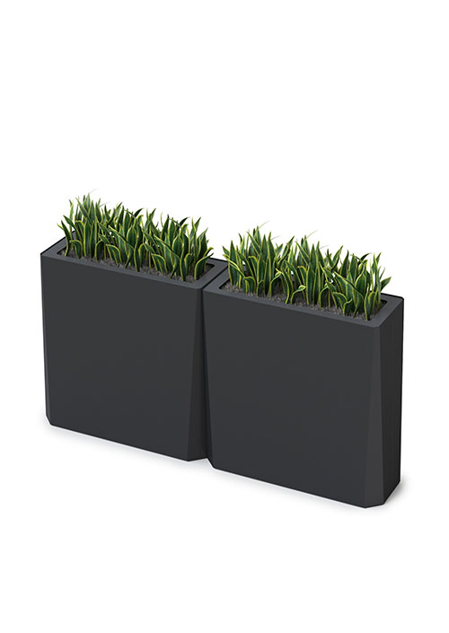 Kasta Planters