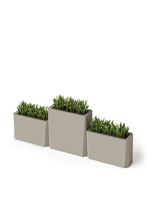 Kasta Planters