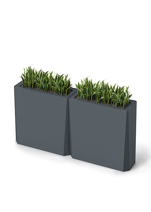Kasta Planters