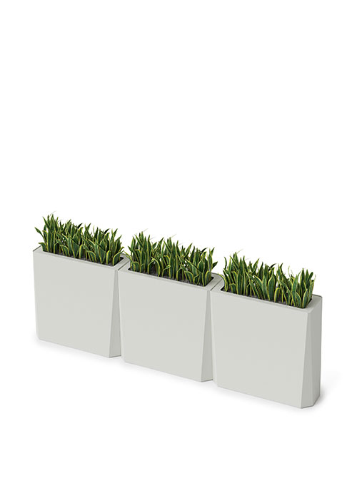 Kasta Planters