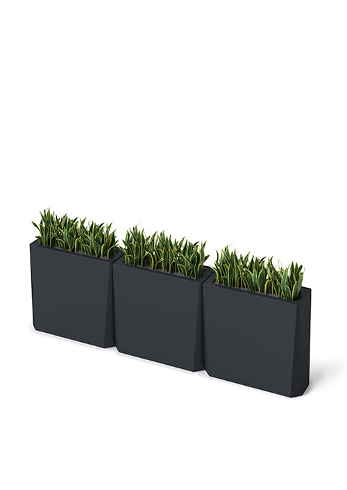Kasta Planters