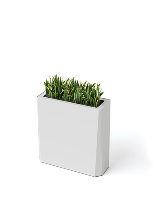 Kasta Planters