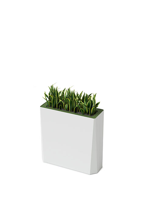 Kasta Planters