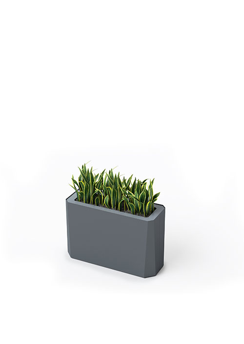 Kasta Planters