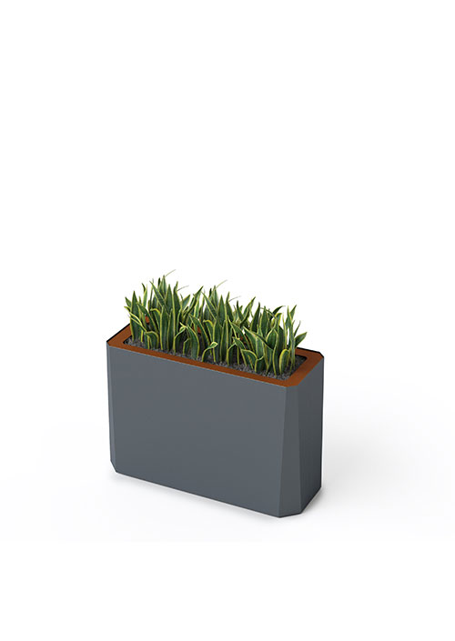 Kasta Planters