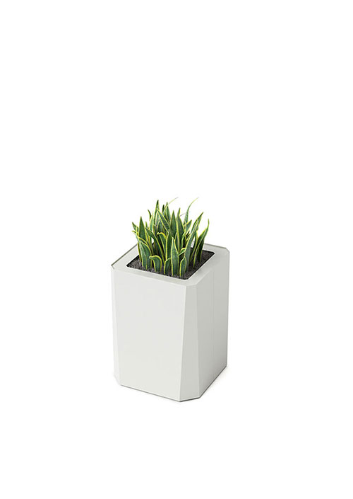 Kasta Planters