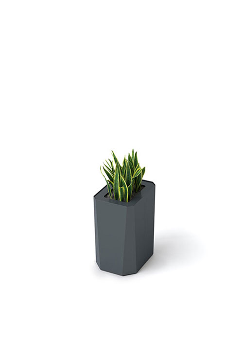 Kasta Planters