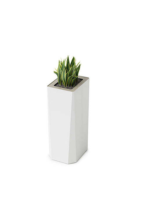 Kasta Planters