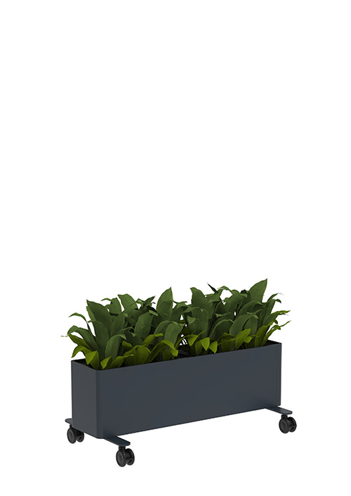Kaskad Casters Planters