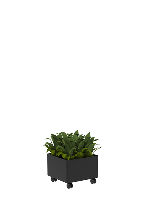 Kaskad Casters Planters