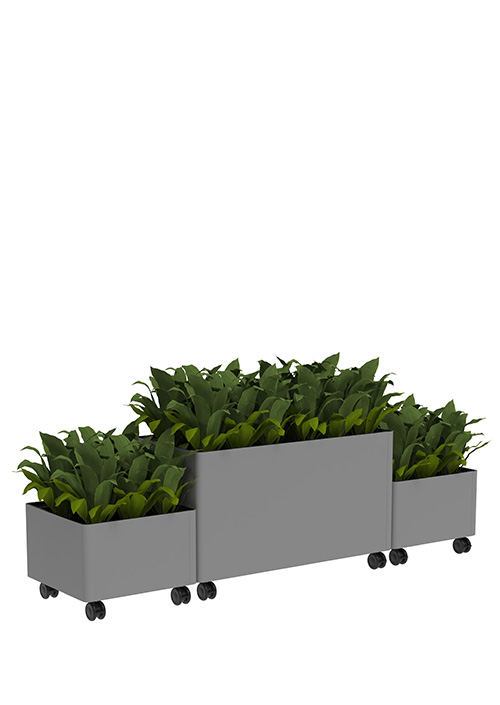 Kaskad Casters Planters