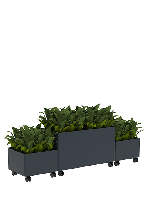 Kaskad Casters Planters