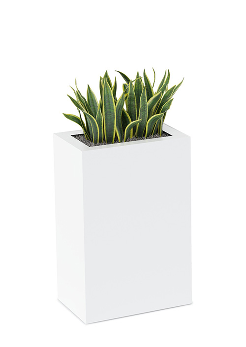 Pic Planters